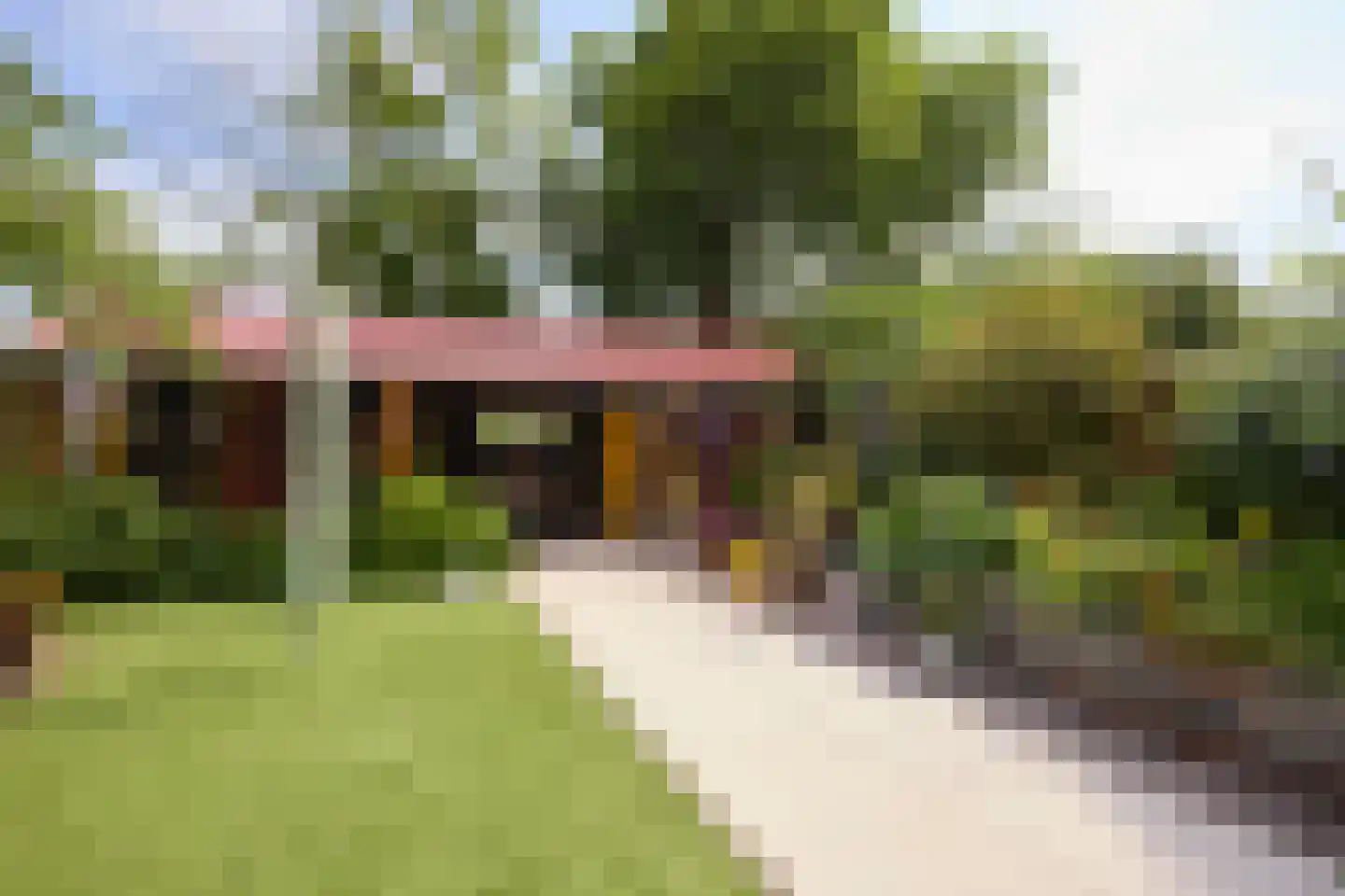 Dorpsweg 19 Oudendijk thumbnail 55