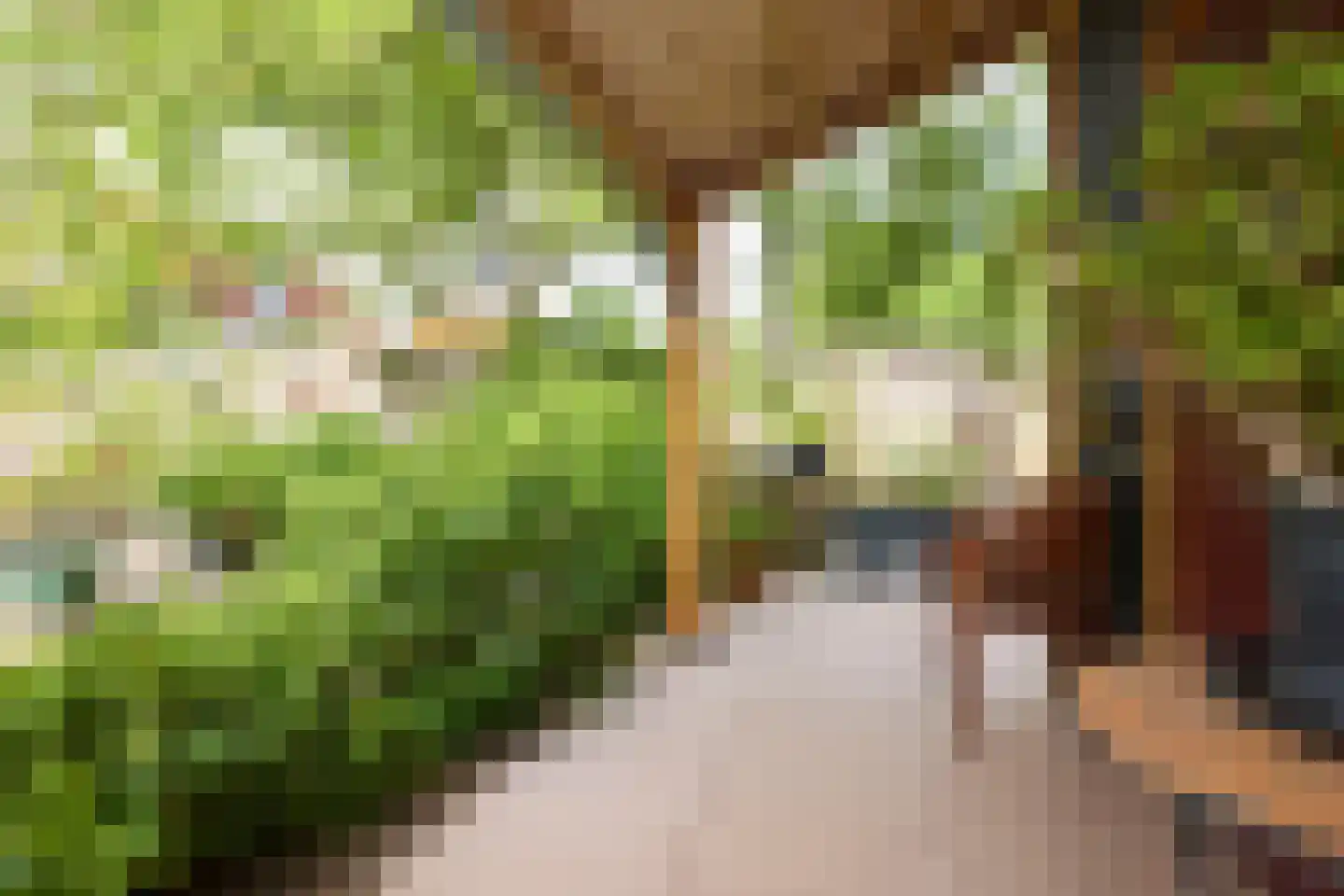 Dorpsweg 19 Oudendijk thumbnail 57