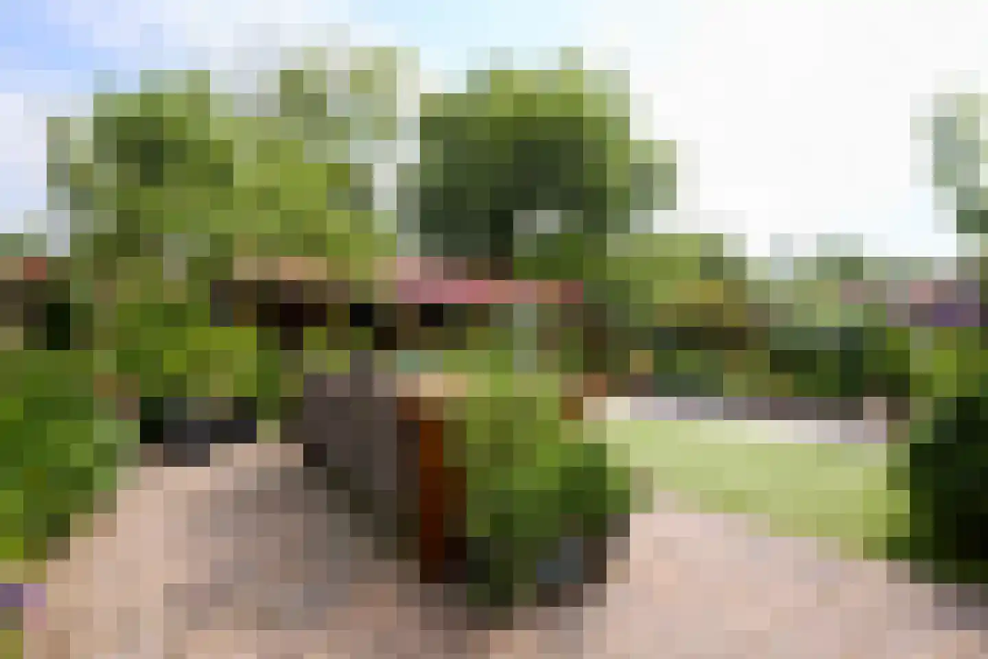 Dorpsweg 19 Oudendijk thumbnail 59