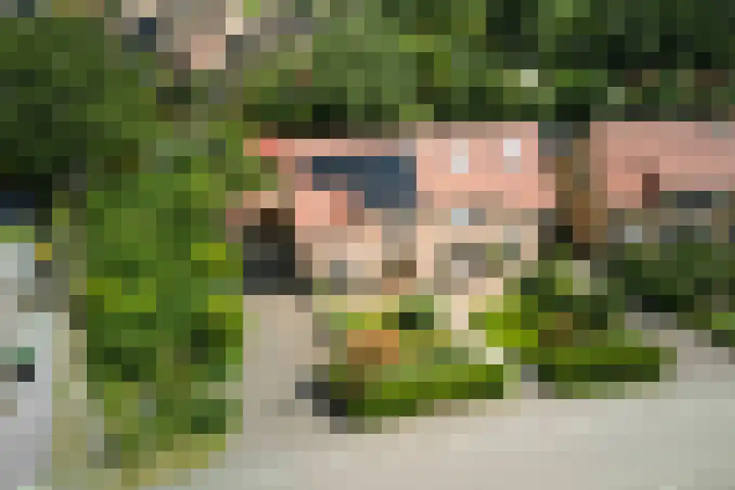 Dorpsweg 19 Oudendijk thumbnail 6