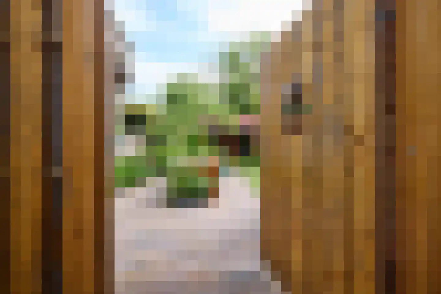 Dorpsweg 19 Oudendijk thumbnail 60