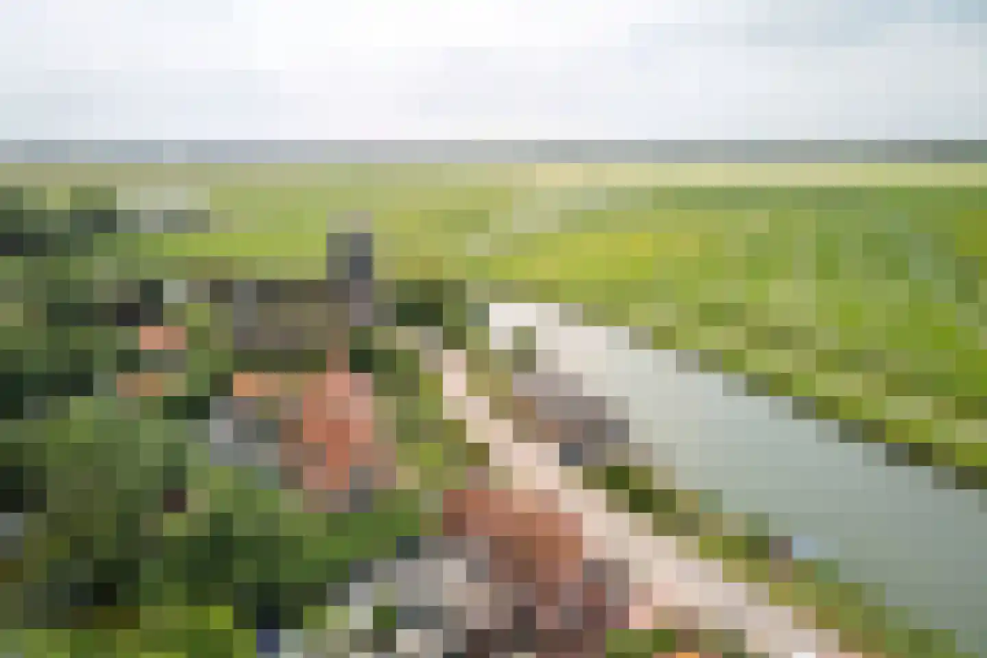 Dorpsweg 19 Oudendijk thumbnail 63