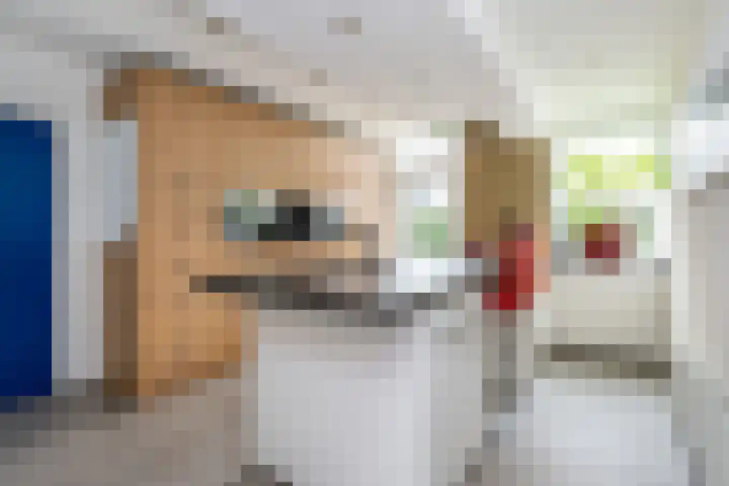 Dorpsweg 19 Sommelsdijk thumbnail 18