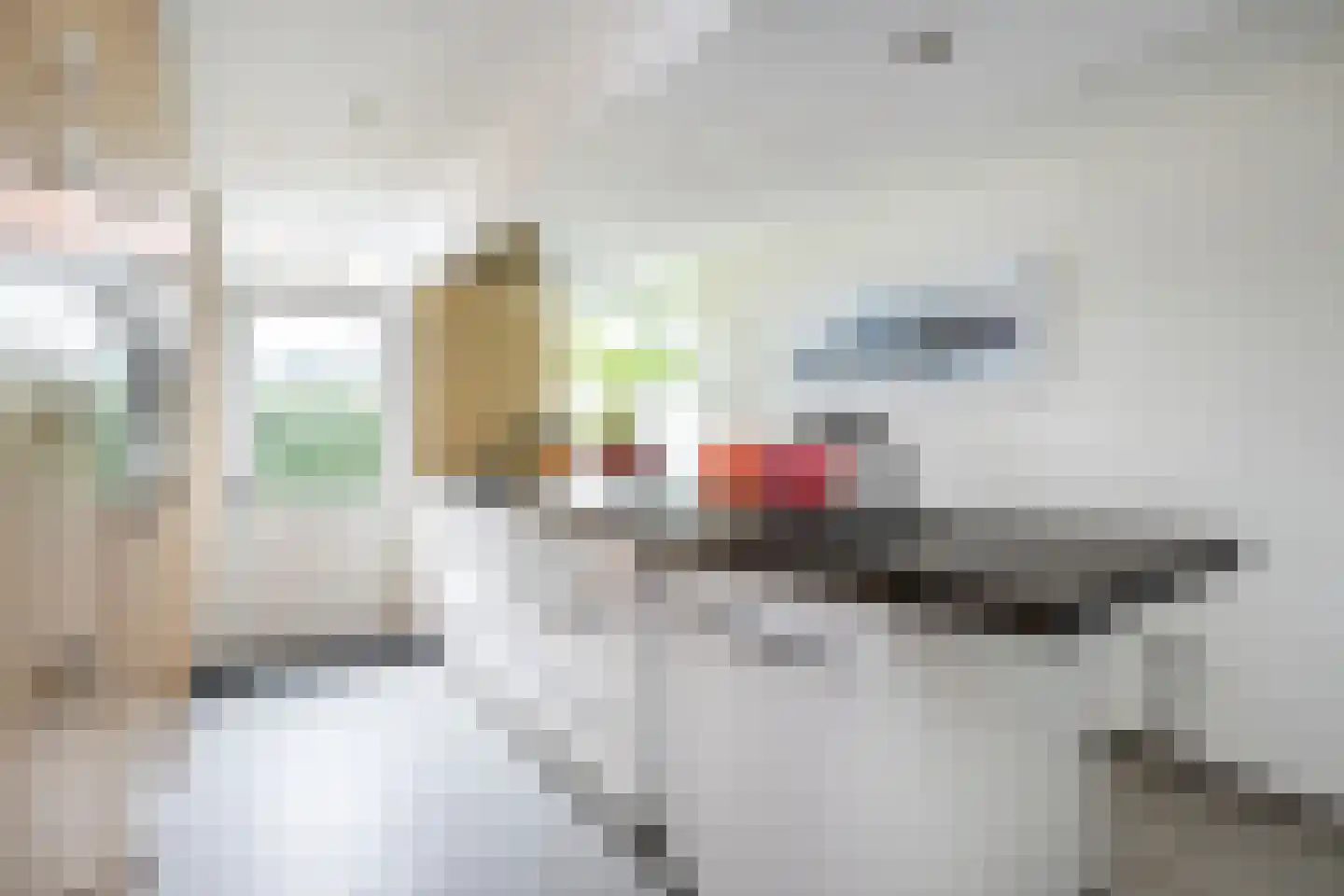 Dorpsweg 19 Sommelsdijk thumbnail 19