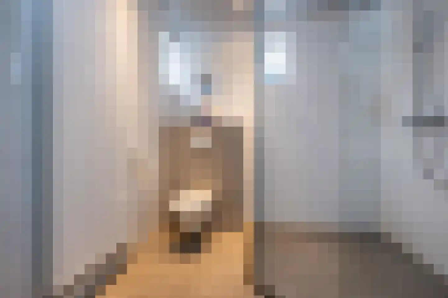 Dorpsweg 19 Sommelsdijk thumbnail 26