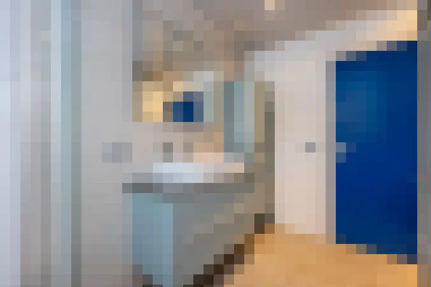 Dorpsweg 19 Sommelsdijk thumbnail 27