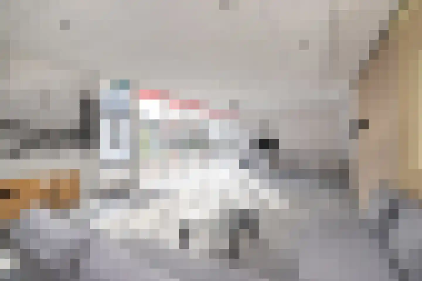 Dorpsweg 19 Sommelsdijk thumbnail 43