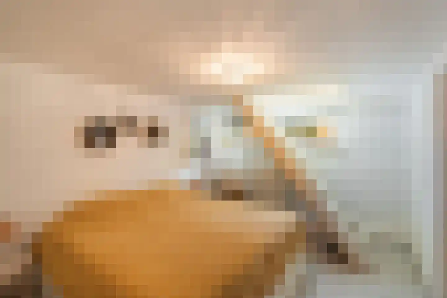 Dorpsweg 191 A Rotterdam thumbnail 20