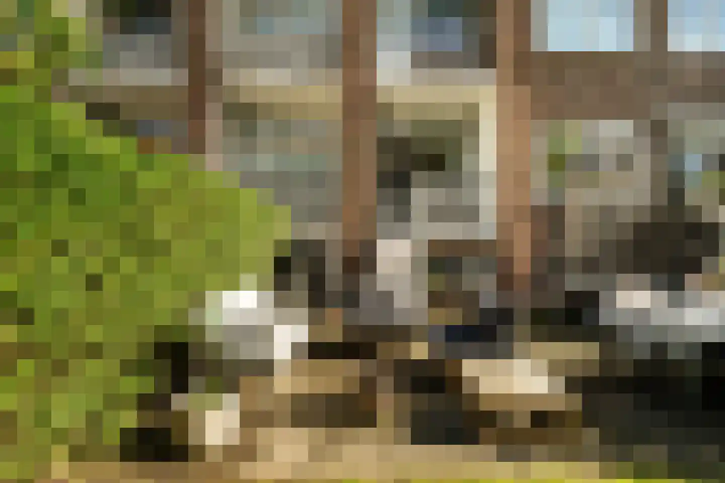Dorpsweg 191 A Rotterdam thumbnail 24