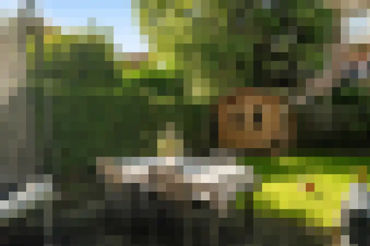 Dorpsweg 191 A Rotterdam thumbnail 27