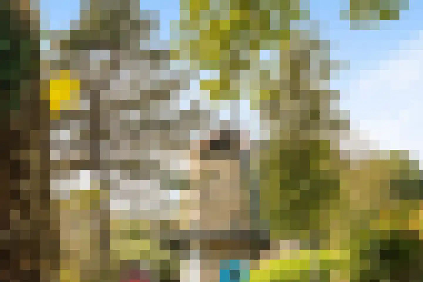 Dorpsweg 191 A Rotterdam thumbnail 30