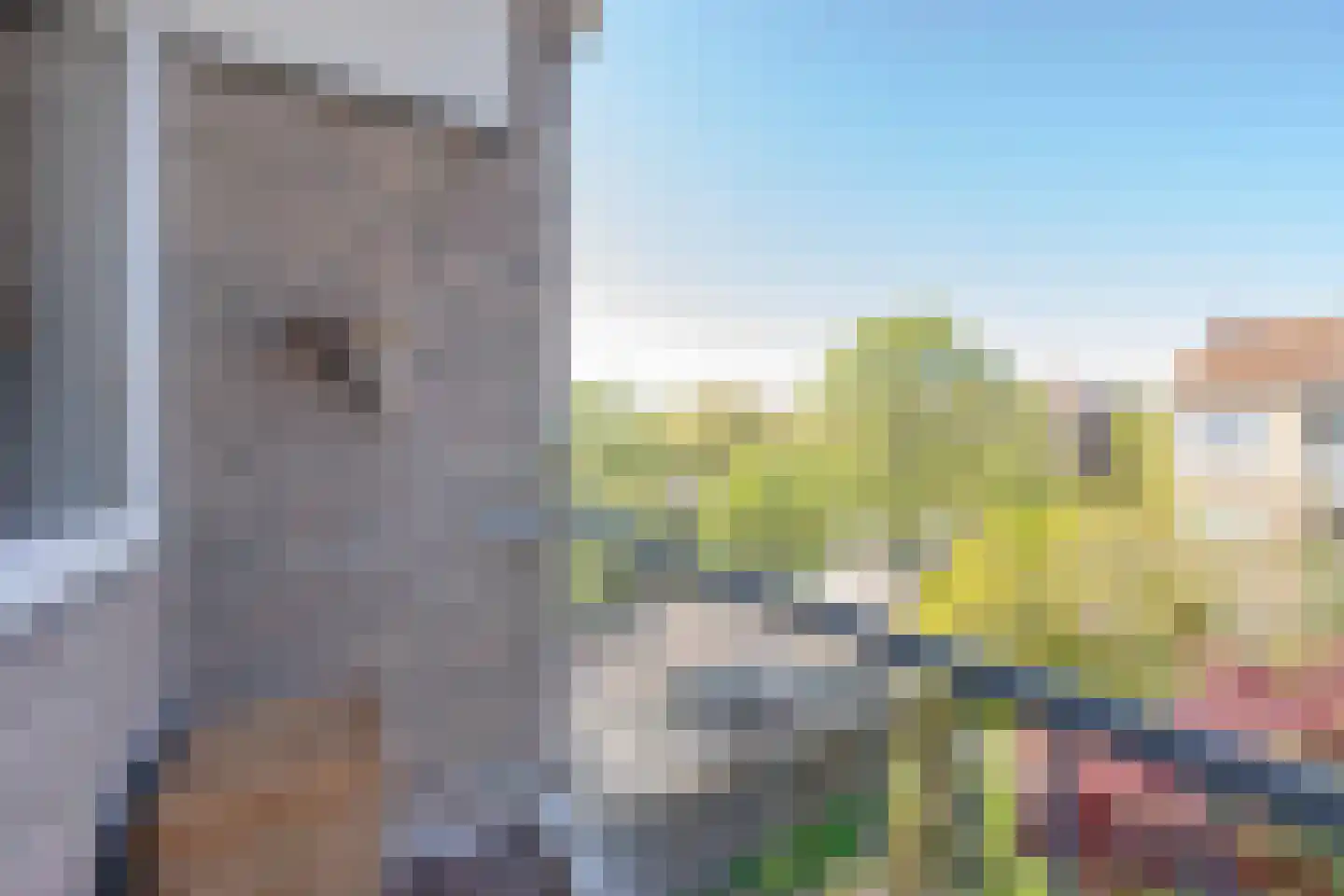 Dorpsweg 197 B Rotterdam thumbnail 21
