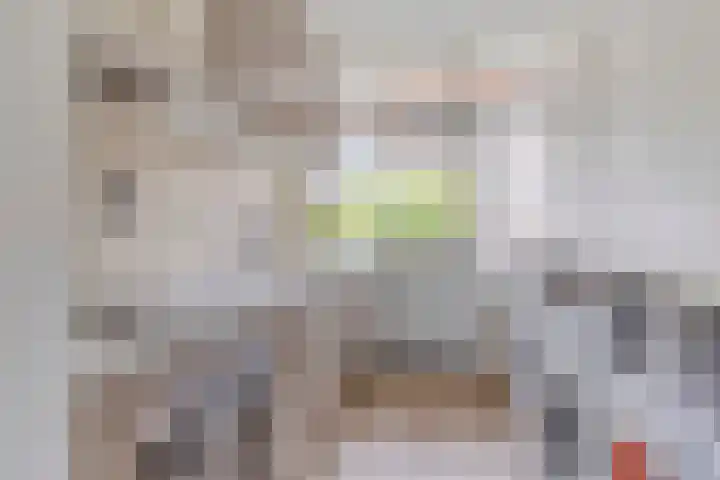 Dorpsweg 199 B Rotterdam thumbnail 10