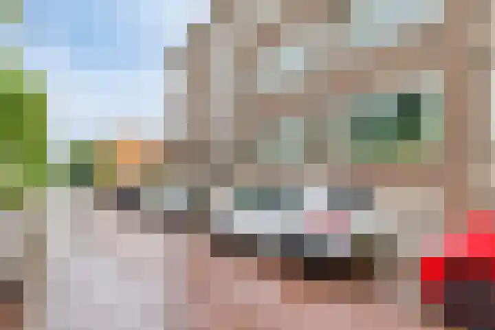 Dorpsweg 199 B Rotterdam thumbnail 25