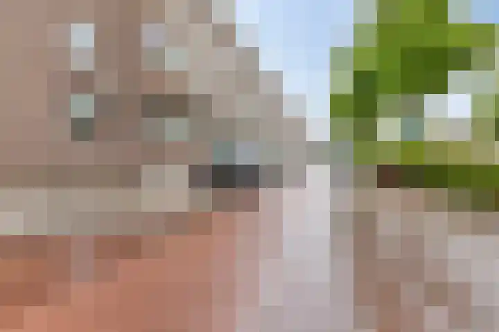 Dorpsweg 199 B Rotterdam thumbnail 27