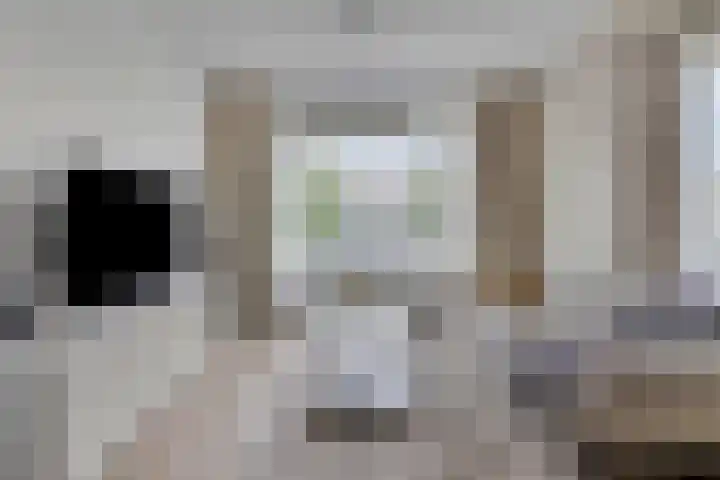 Dorpsweg 199 B Rotterdam thumbnail 4