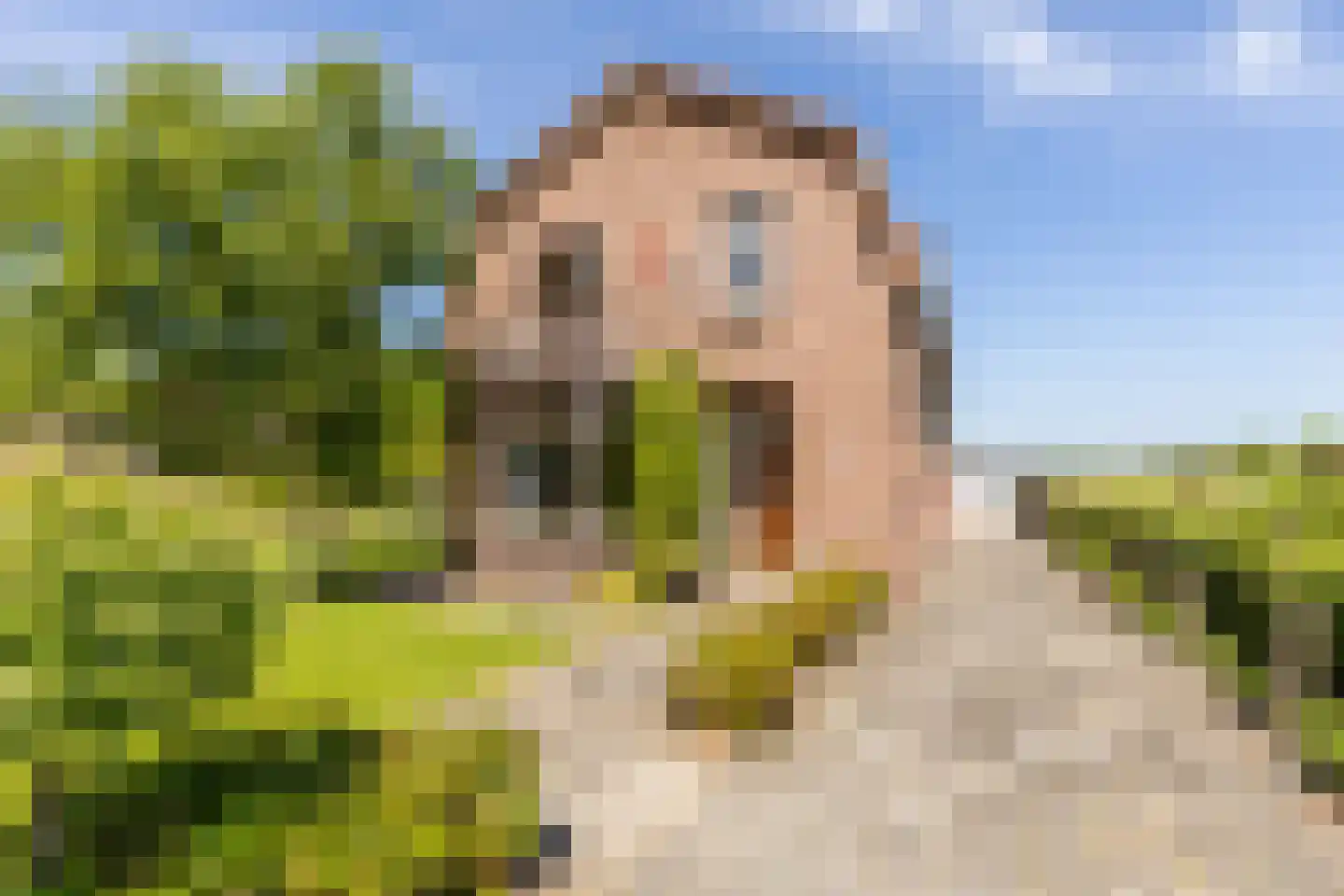 Dorpsweg 2 in Rockanje