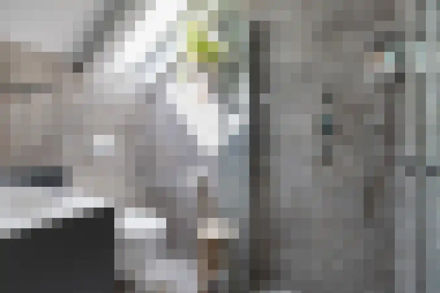 Dorpsweg 2 Oudenhoorn thumbnail 33