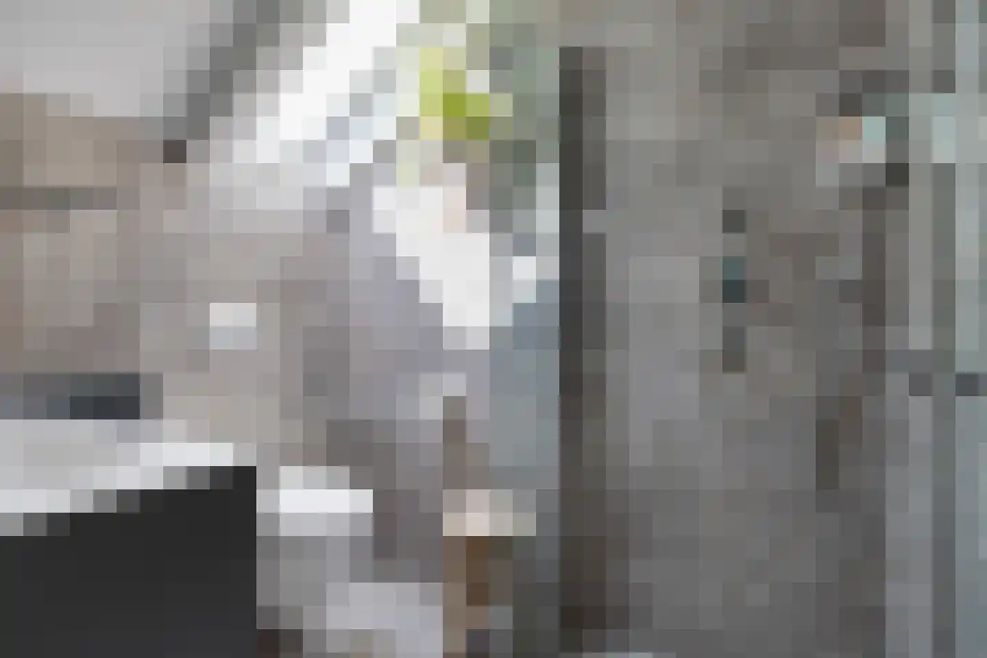 Dorpsweg 2 Oudenhoorn thumbnail 34