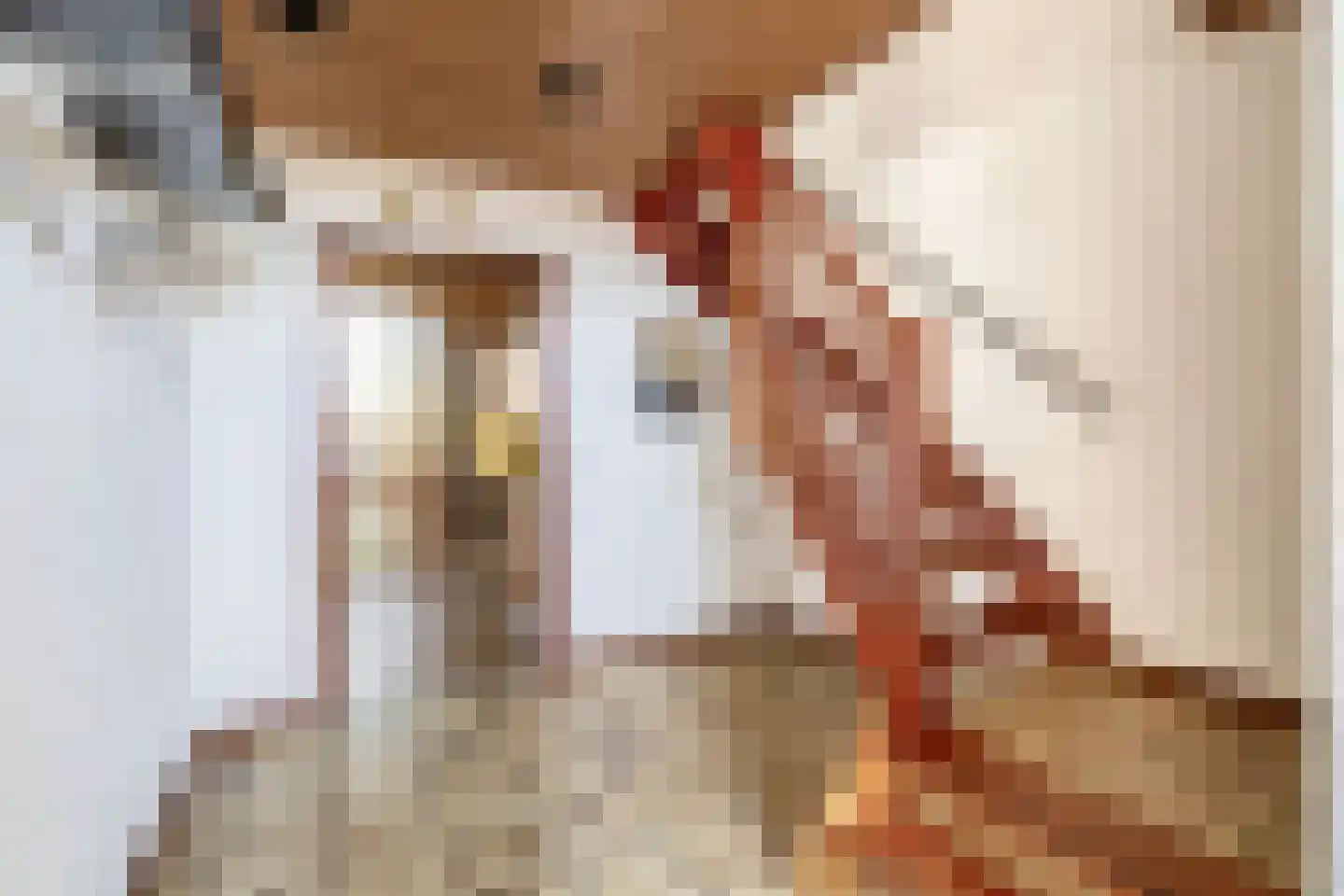 Dorpsweg 2 Reeuwijk thumbnail 12