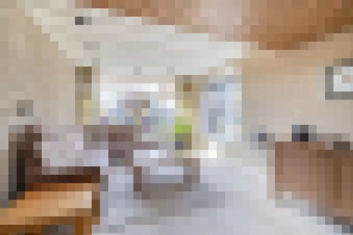 Dorpsweg 2 Reeuwijk thumbnail 14