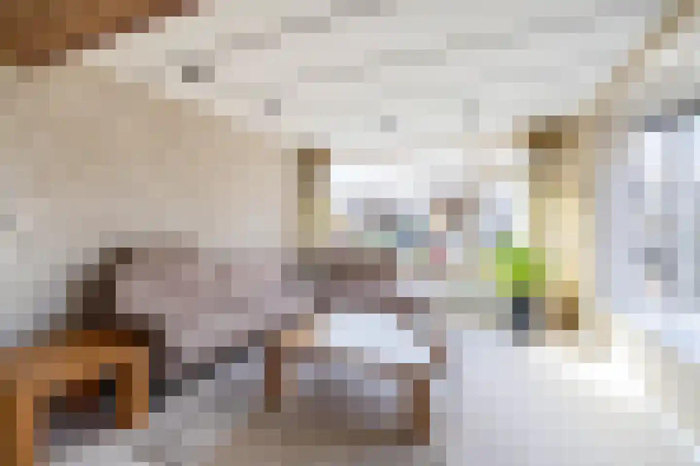 Dorpsweg 2 Reeuwijk thumbnail 15