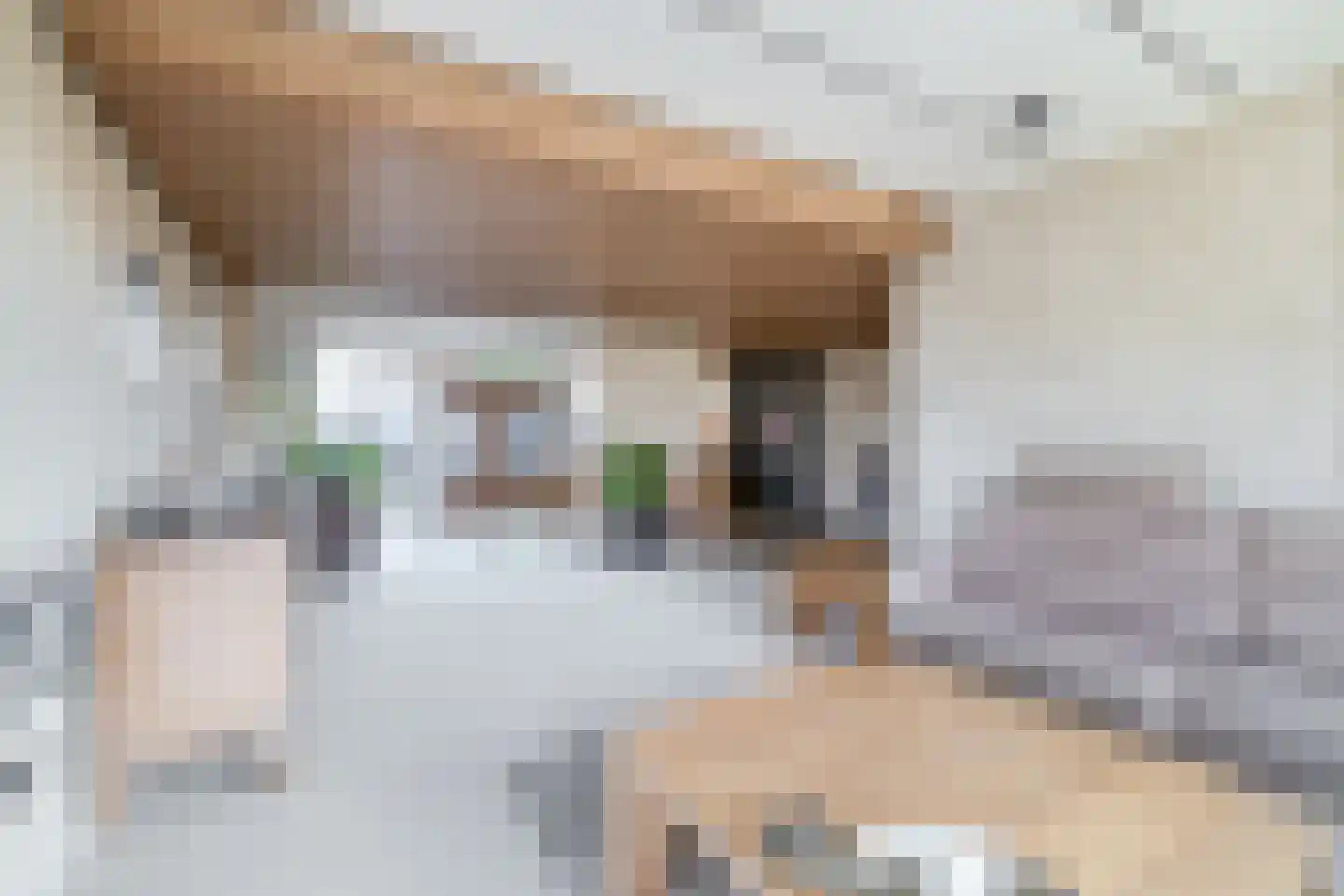 Dorpsweg 2 Reeuwijk thumbnail 16