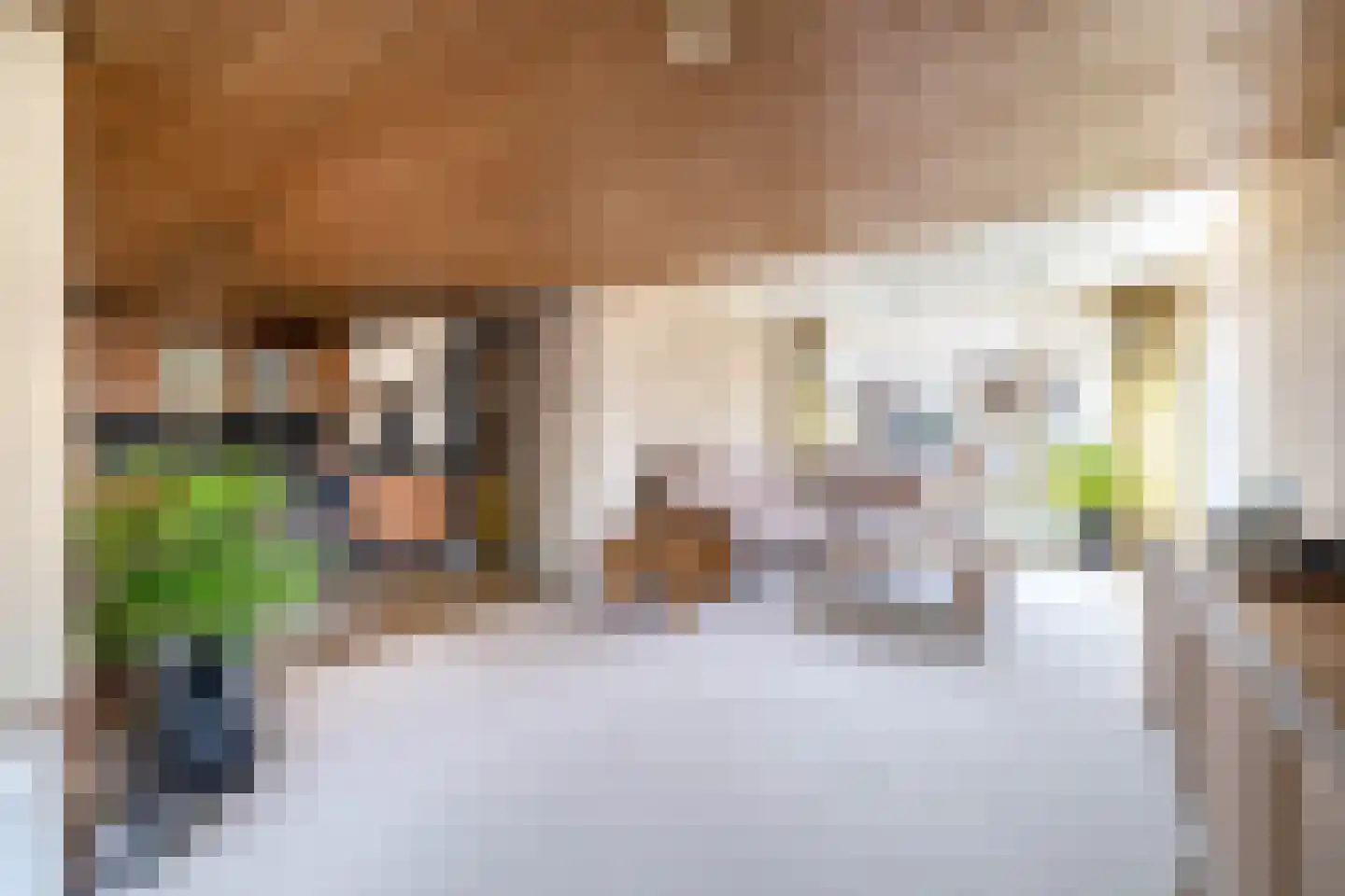 Dorpsweg 2 Reeuwijk thumbnail 17