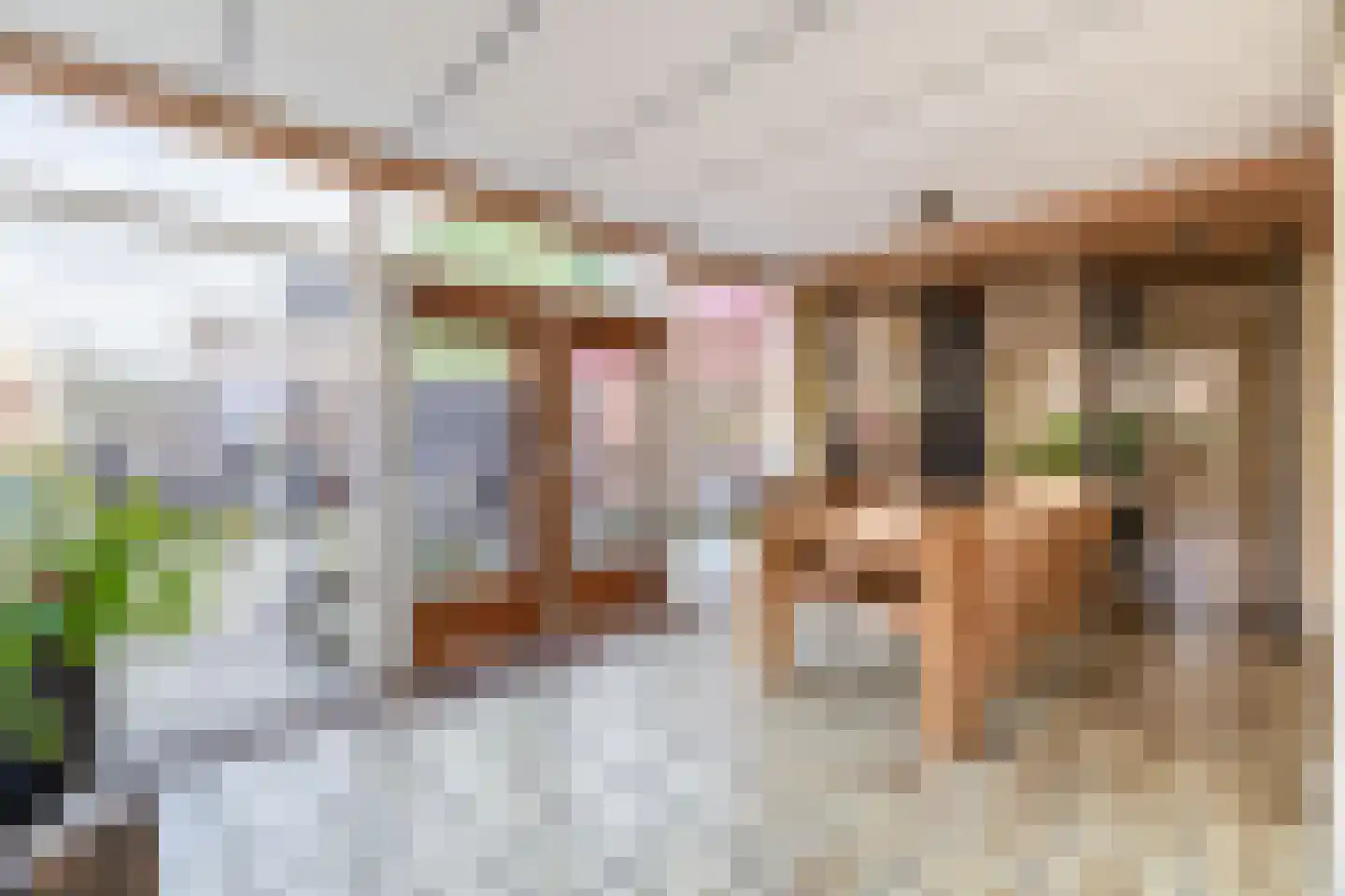 Dorpsweg 2 Reeuwijk thumbnail 18