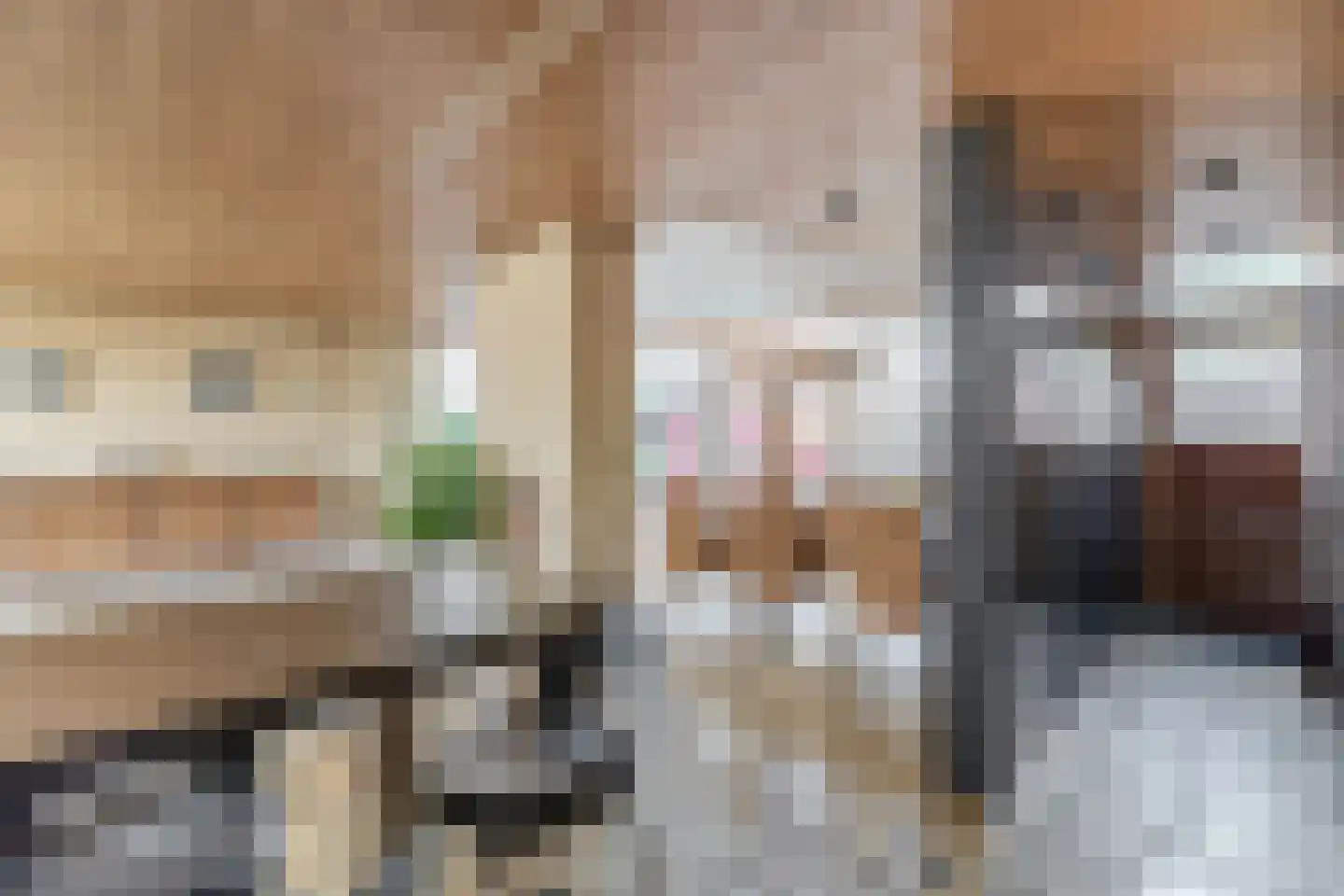 Dorpsweg 2 Reeuwijk thumbnail 22