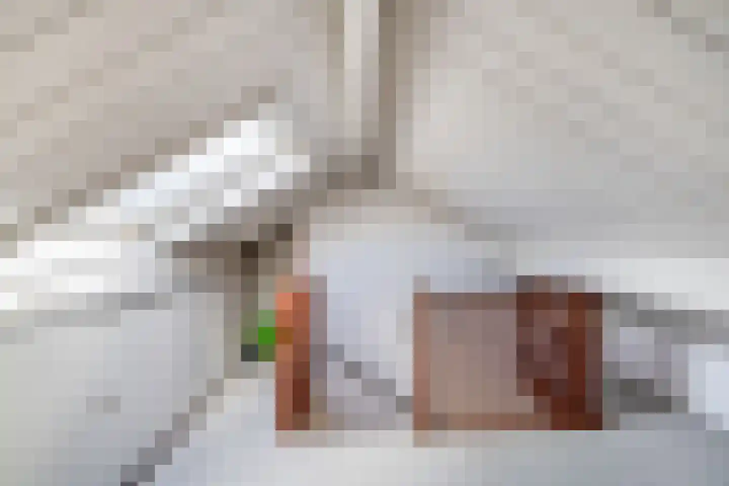 Dorpsweg 2 Reeuwijk thumbnail 37
