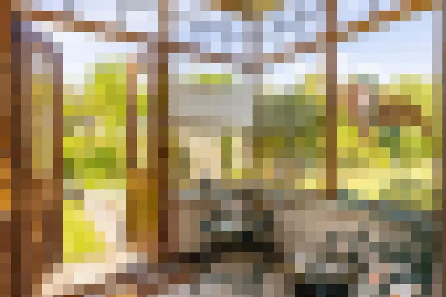 Dorpsweg 2 Rockanje thumbnail 15