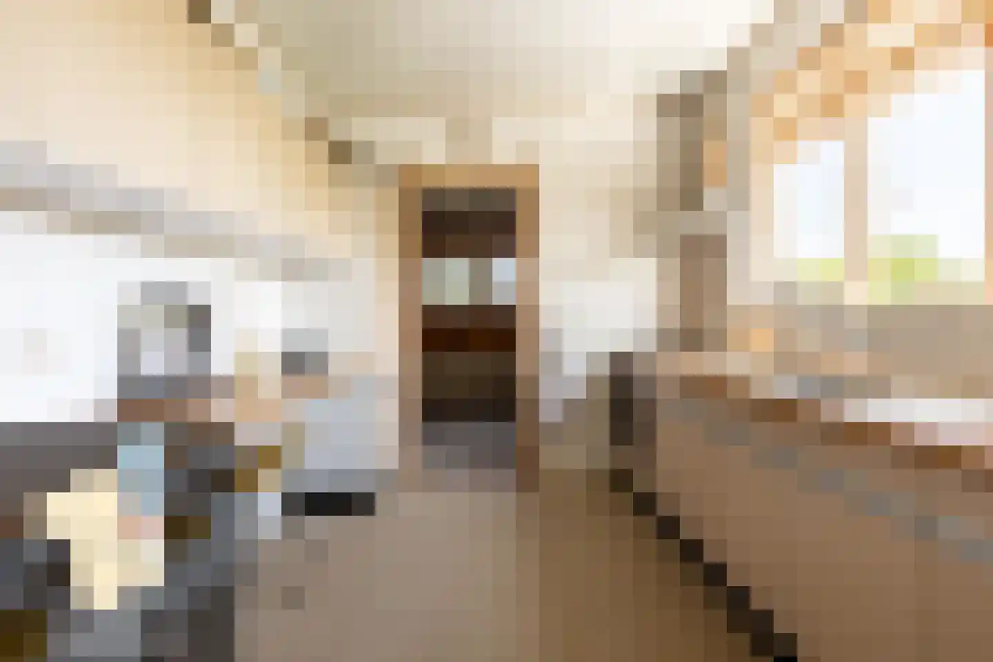Dorpsweg 2 Rockanje thumbnail 16