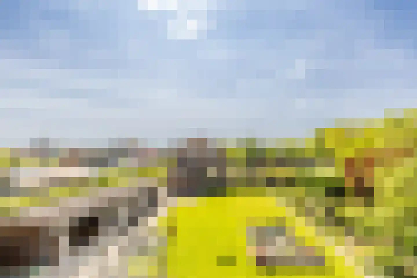 Dorpsweg 2 Rockanje thumbnail 32