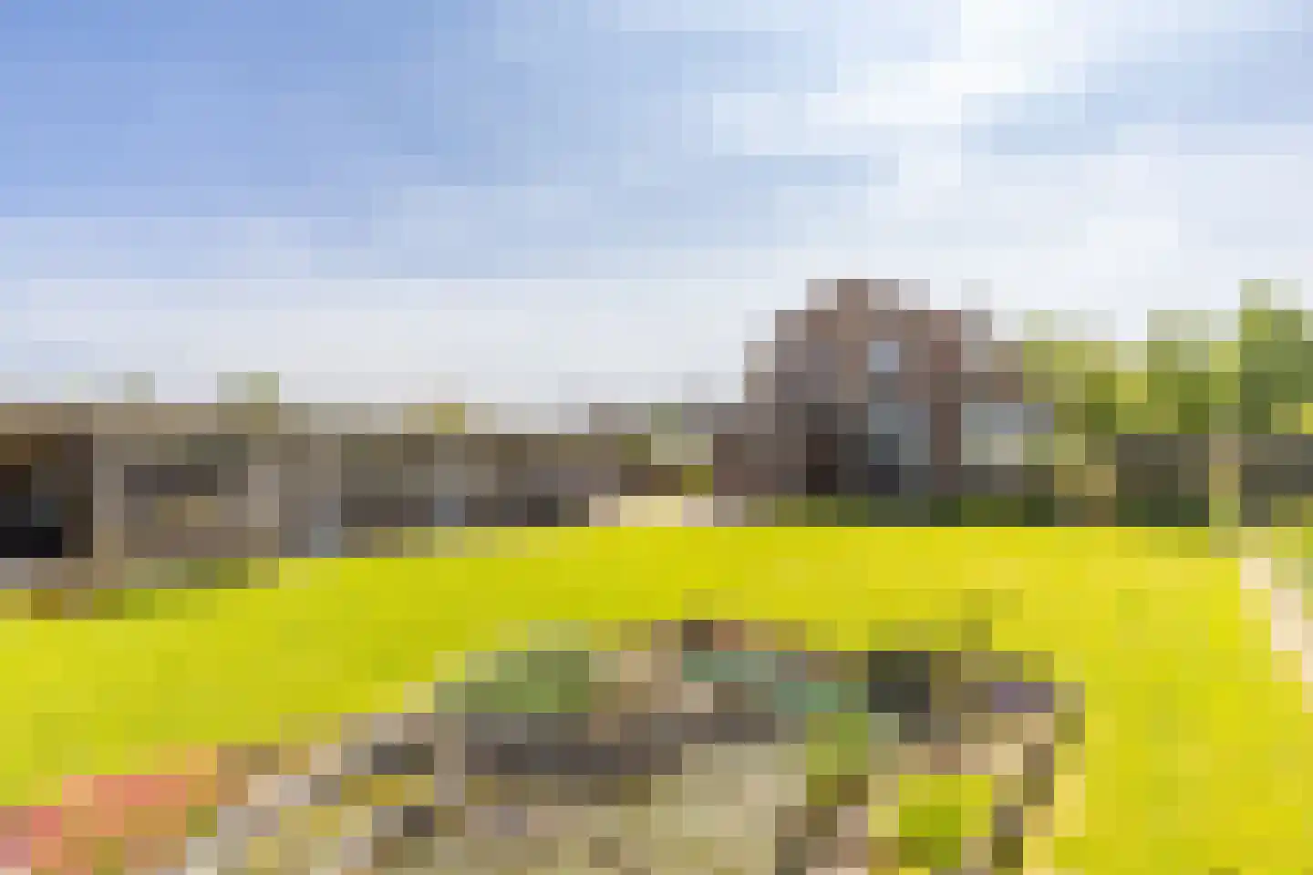 Dorpsweg 2 Rockanje thumbnail 33
