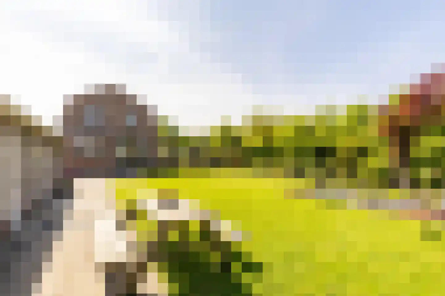 Dorpsweg 2 Rockanje thumbnail 34