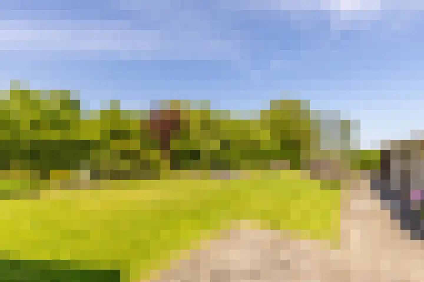 Dorpsweg 2 Rockanje thumbnail 35