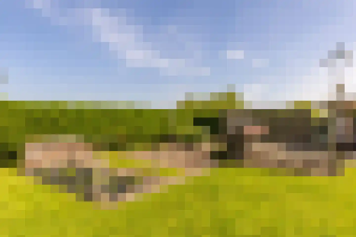 Dorpsweg 2 Rockanje thumbnail 37
