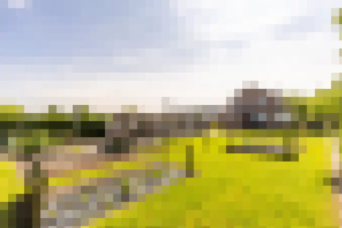 Dorpsweg 2 Rockanje thumbnail 4