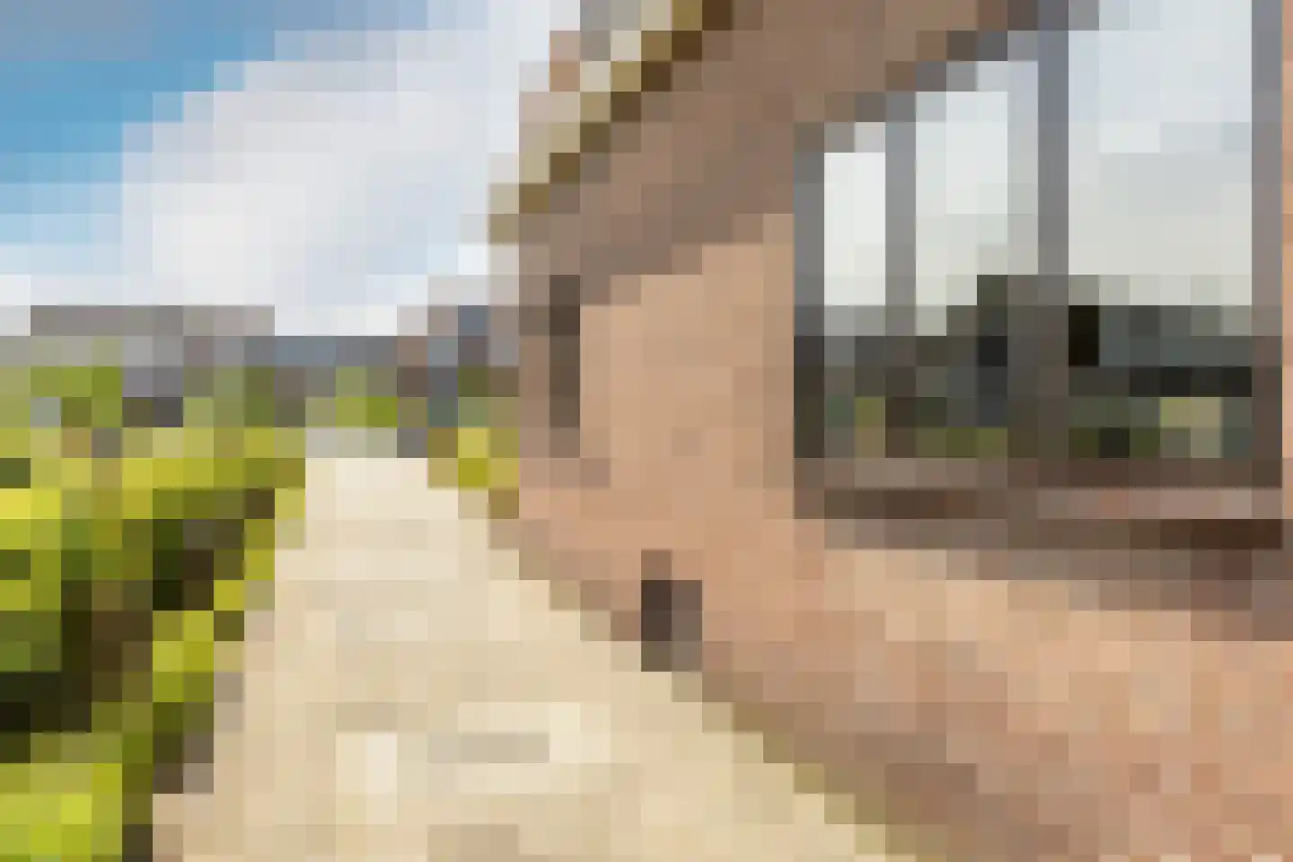 Dorpsweg 2 Rockanje thumbnail 42