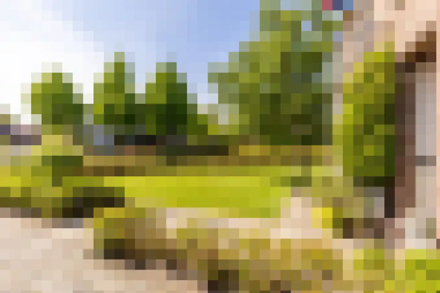 Dorpsweg 2 Rockanje thumbnail 43