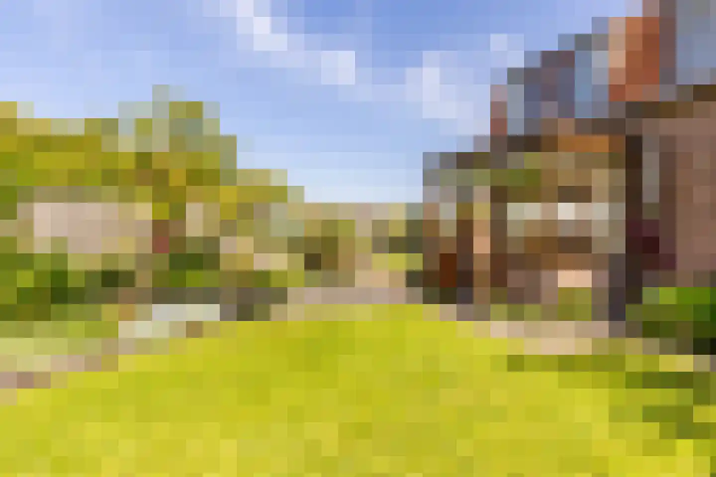 Dorpsweg 2 Rockanje thumbnail 44