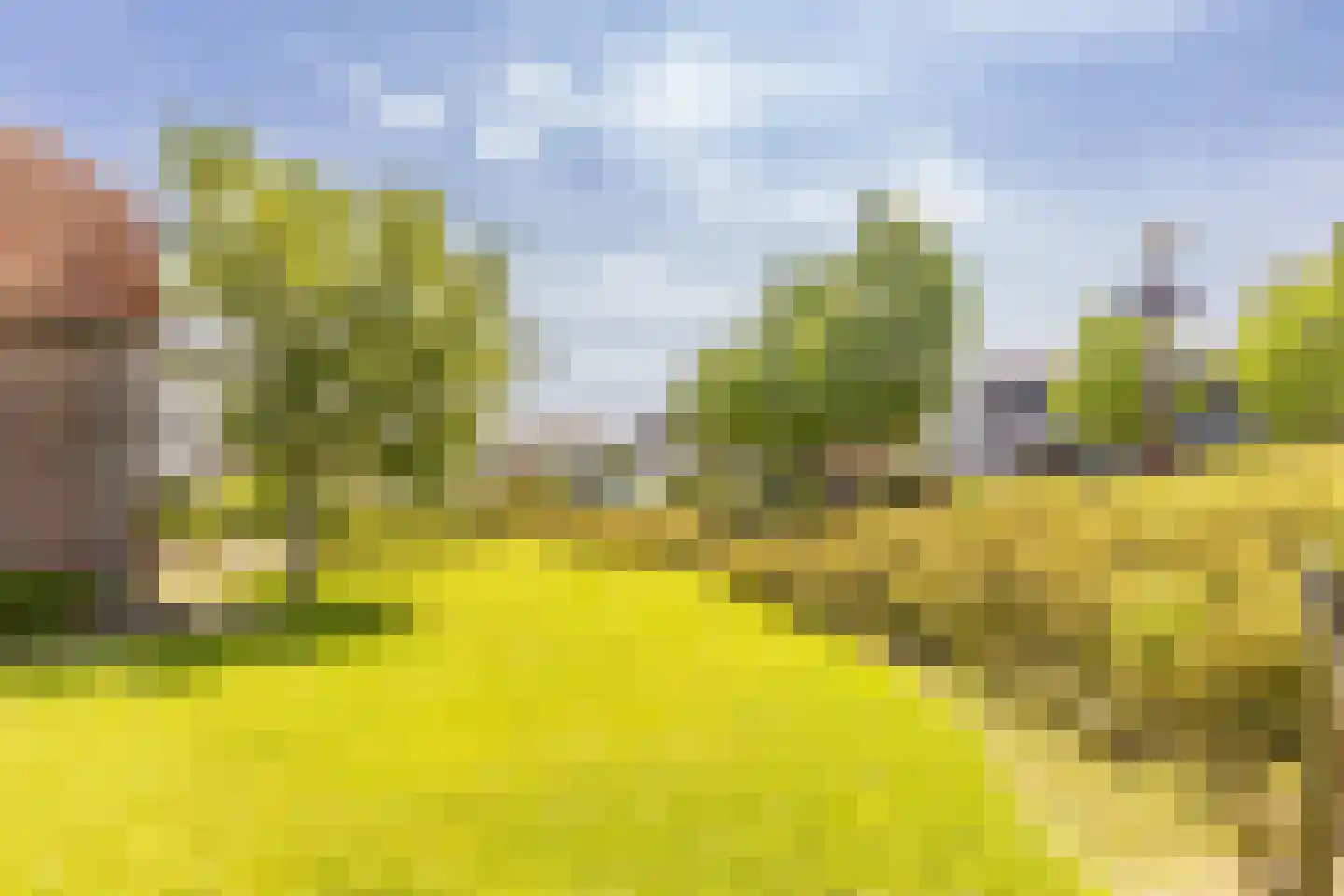 Dorpsweg 2 Rockanje thumbnail 46