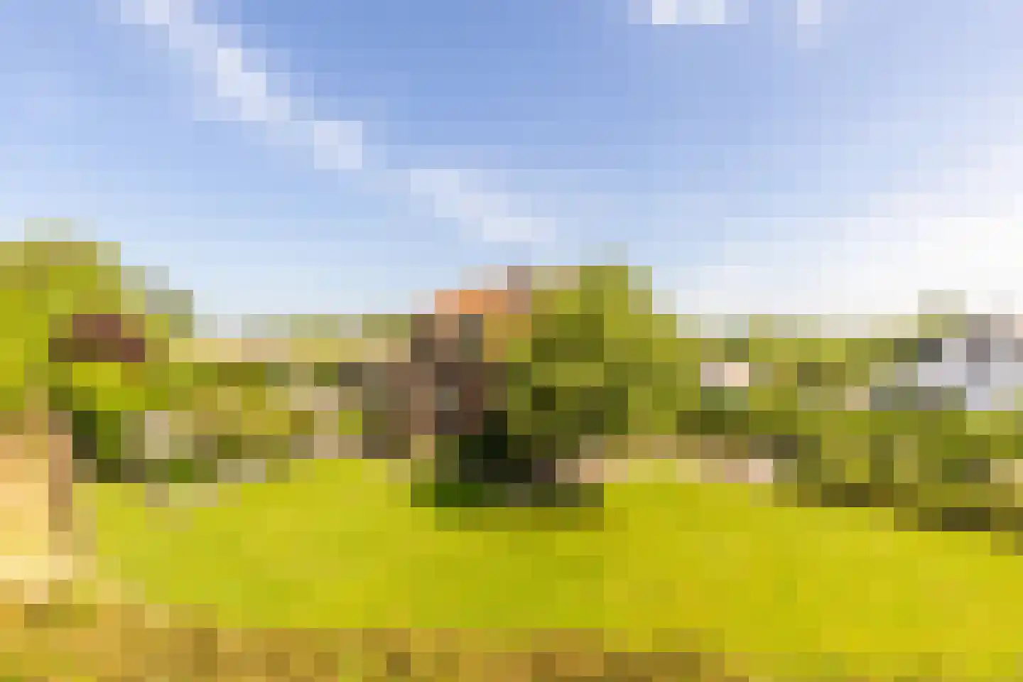 Dorpsweg 2 Rockanje thumbnail 47