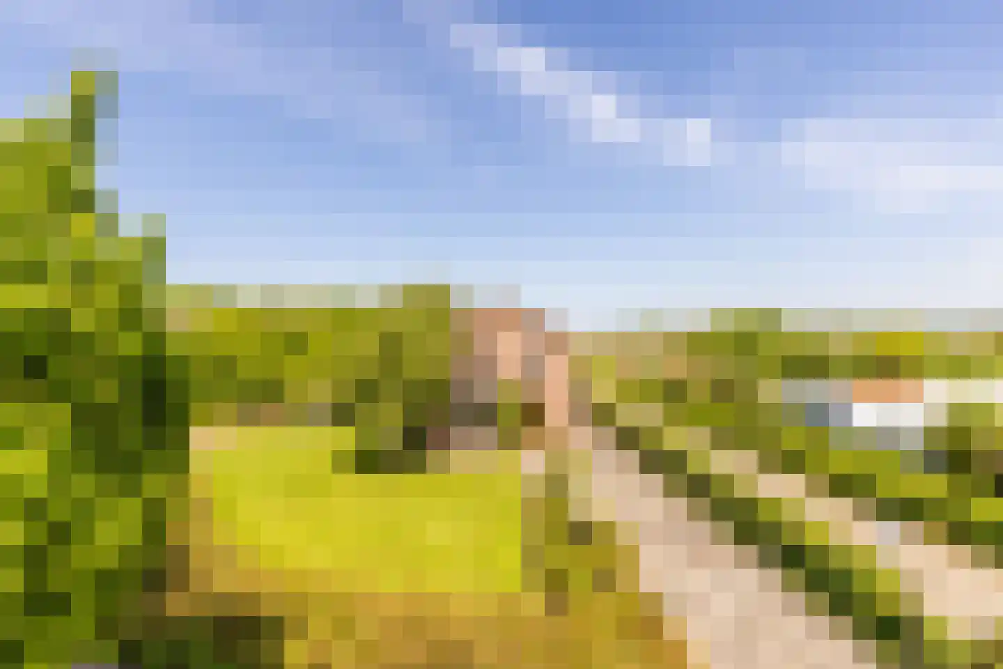 Dorpsweg 2 Rockanje thumbnail 5