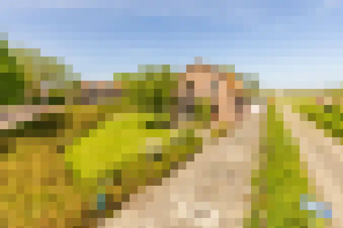 Dorpsweg 2 Rockanje thumbnail 6