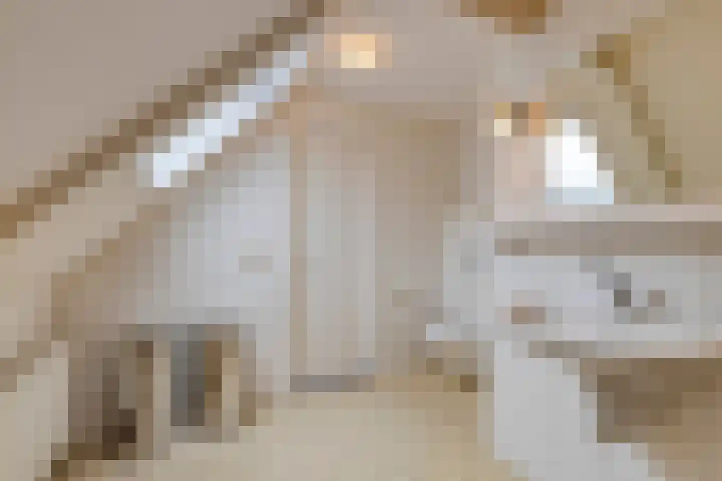 Dorpsweg 200 Twisk thumbnail 31