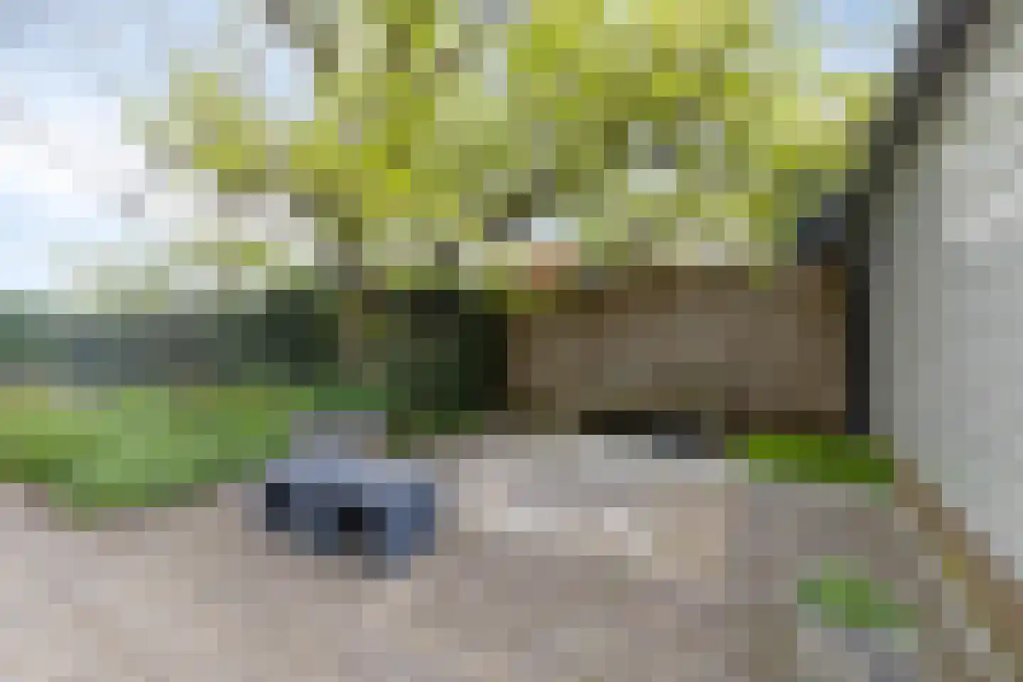 Dorpsweg 200 Twisk thumbnail 36