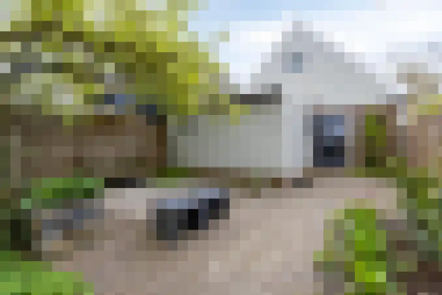 Dorpsweg 200 Twisk thumbnail 37