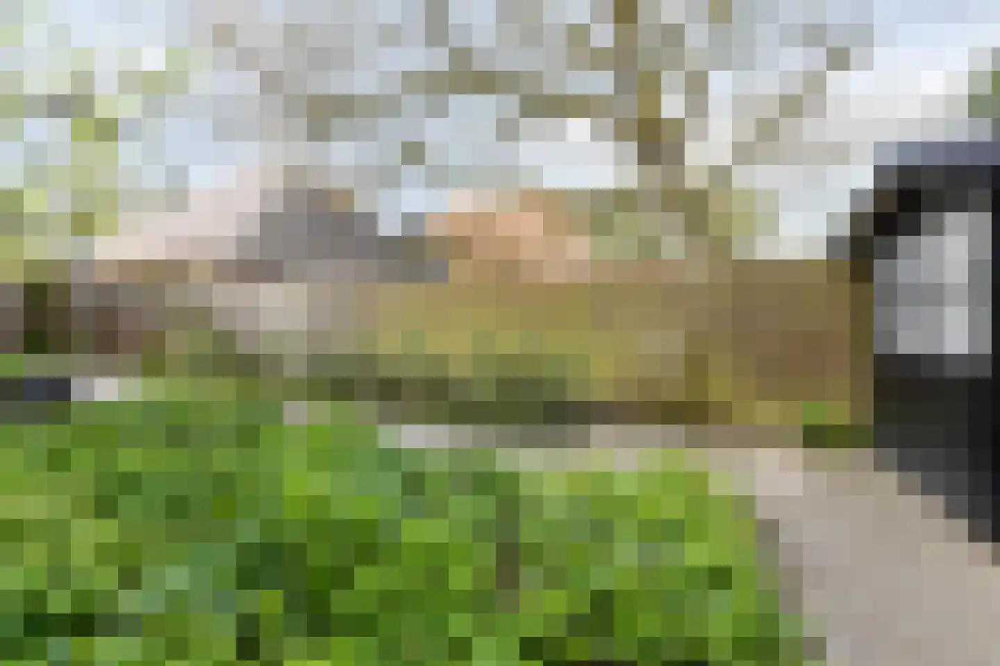 Dorpsweg 200 Twisk thumbnail 39